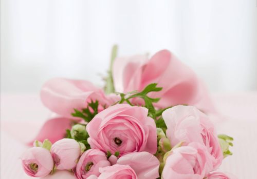 19朵粉色玫瑰的花语是什么意思,19朵粉红色玫瑰