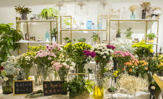 北京最便宜的花卉批发,北京花卉市场买花哪个比较便宜
