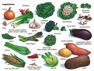 蔬菜大全,蔬菜大全100种照片